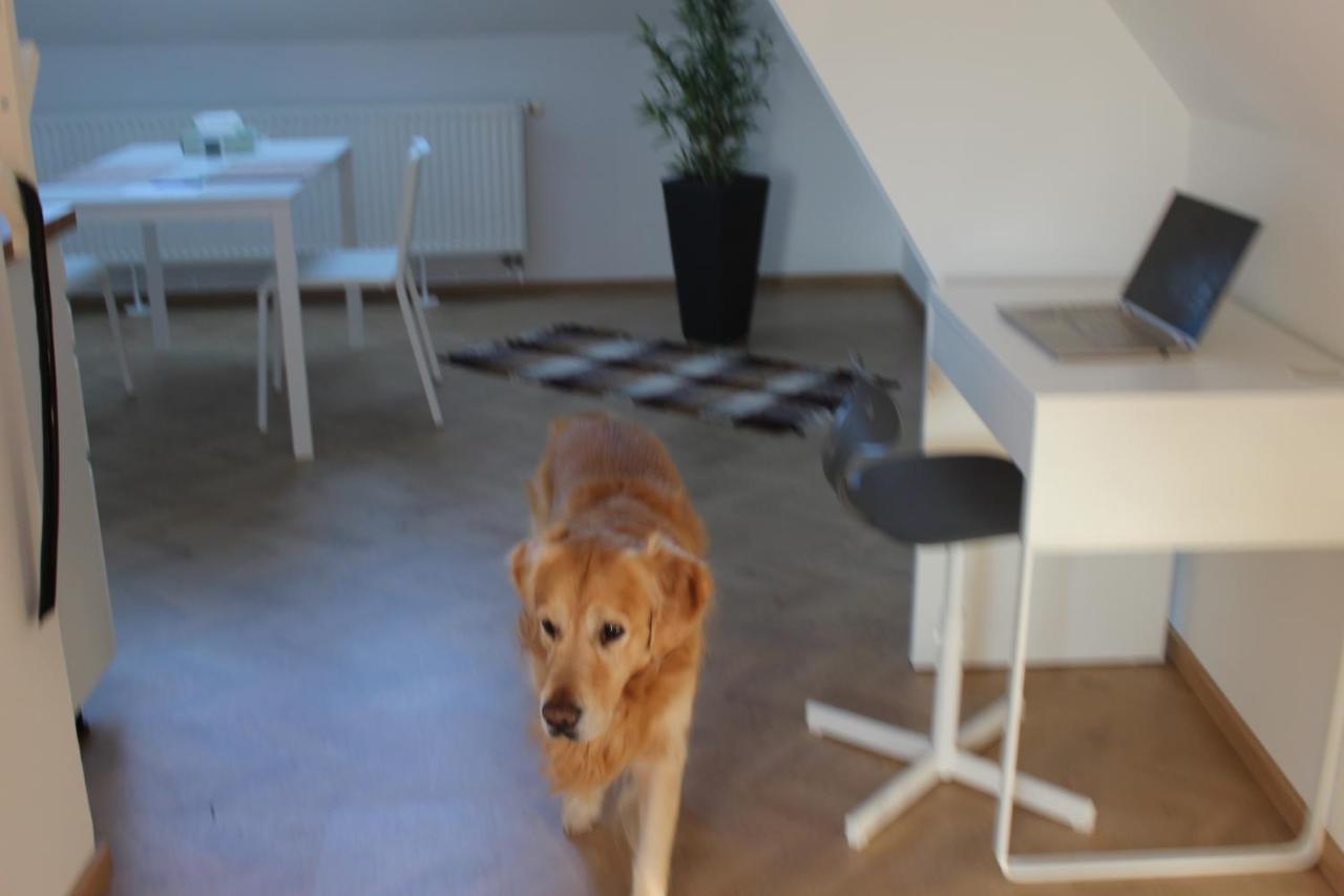 Haus Semmi Apartment Fuerstenfeld Luaran gambar